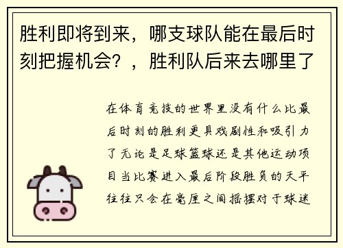 胜利即将到来，哪支球队能在最后时刻把握机会？，胜利队后来去哪里了