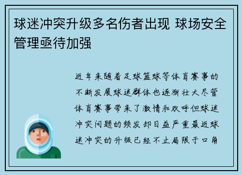 球迷冲突升级多名伤者出现 球场安全管理亟待加强