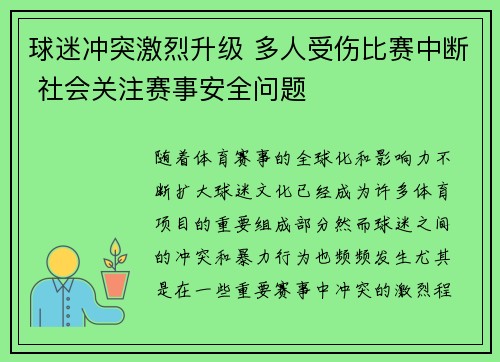 球迷冲突激烈升级 多人受伤比赛中断 社会关注赛事安全问题